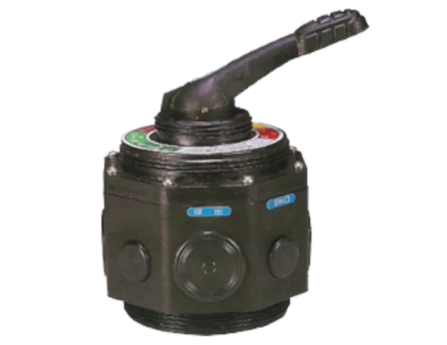 Manual multi-port valve